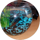 natacha bouc profile picture